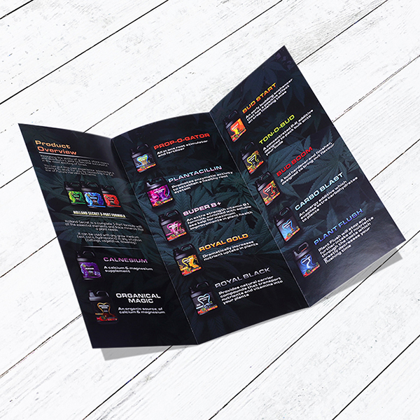 Brochure Printing In Pakistan Multan Whole Sale Rates